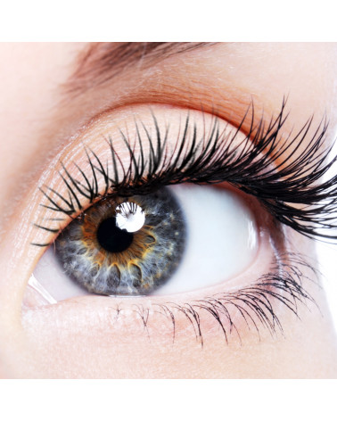 vital-perfekt-cream-eye-lift-shiseido-parisparfum