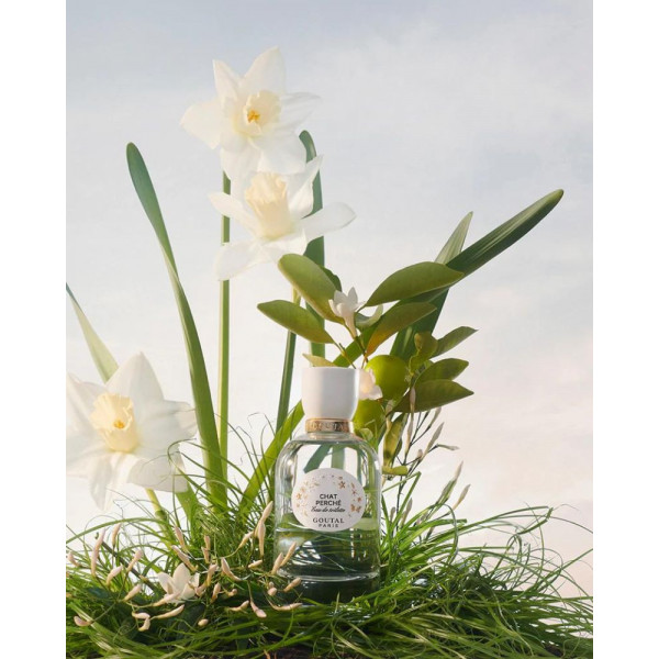 Chat_perché_goutal_parispafums