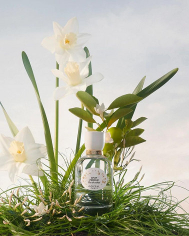 Chat_perché_goutal_parispafums