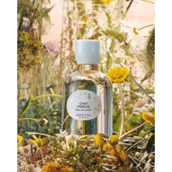 Chat_perché_goutal_parispafums