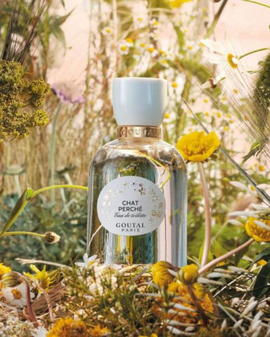 Chat_perché_goutal_parispafums