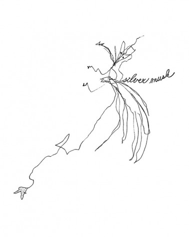 parfum-createur-edp-nasomatto