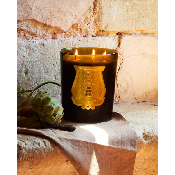 ernesto-bougie-parfumee-3kg-trudon