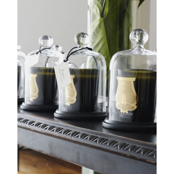 candle-parfumee-trudon-parisparfumsfr