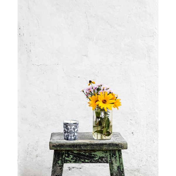 parfum-rose-et-marius-cezanne-bougie-parfumee-parisparfum