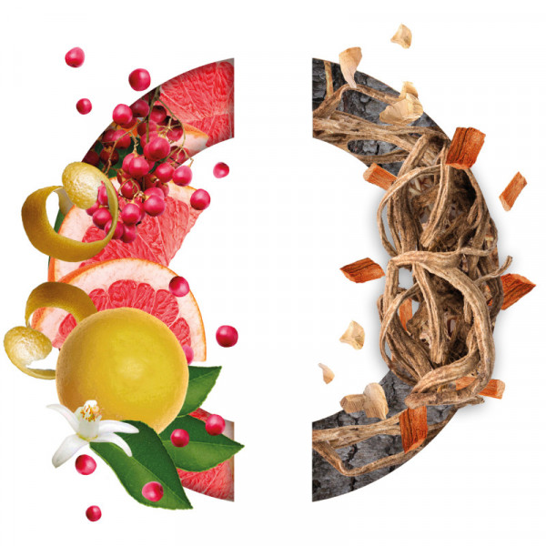 Field_bleu_du_ciel_caron_ water of cologne_matière - first