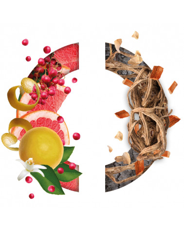 Field_bleu_du_ciel_caron_ water of cologne_matière - first