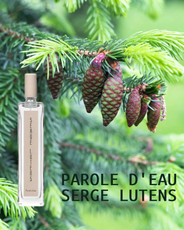 word-of-Wasser-Wasser-de-Duft-Serge-lutens