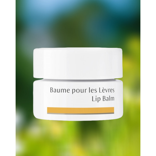 baume-levres-naturel-dr-hauschka-parisparfumsfr