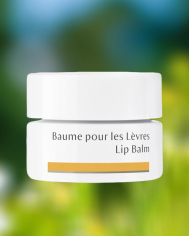 balm-levres-natural-dr-hauschka-parisparfumsfr