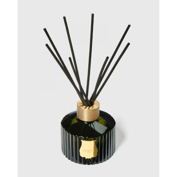 ernesto-raumduft-diffusor-trudon