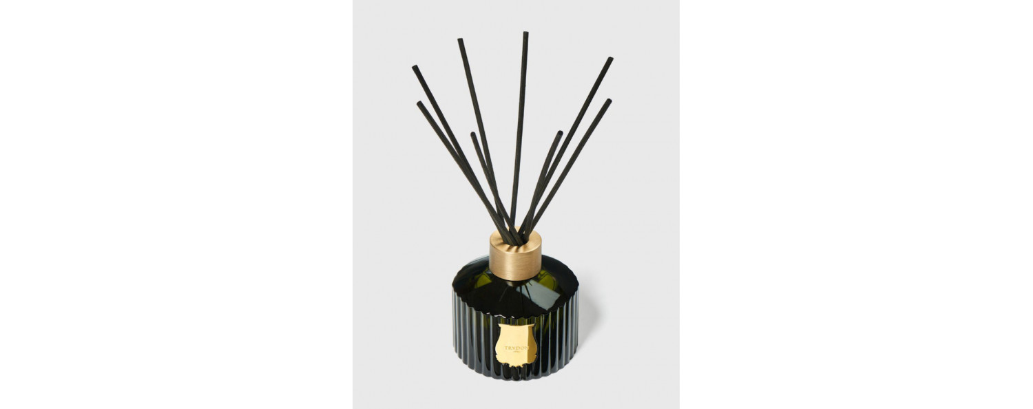 ernesto-raumduft-diffusor-trudon