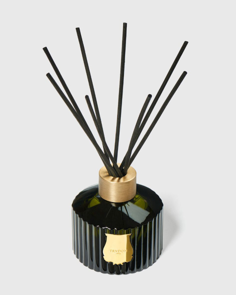 ernesto-raumduft-diffusor-trudon