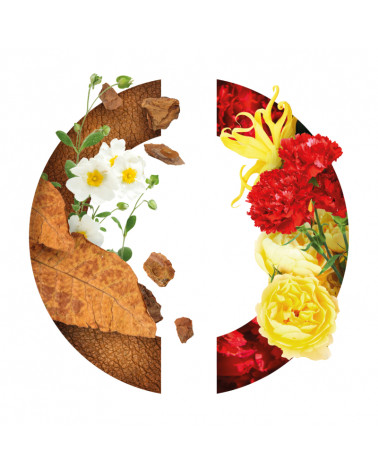 tabac-blond-parfum-caron-matières-premières