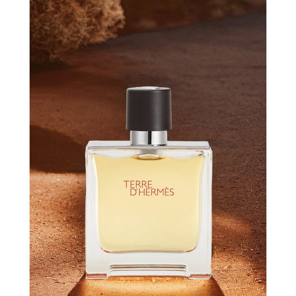 terre-d-hermes-extrait-de-parfum-hermes