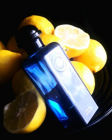 citron-noir-hermes-parisparfumsfr