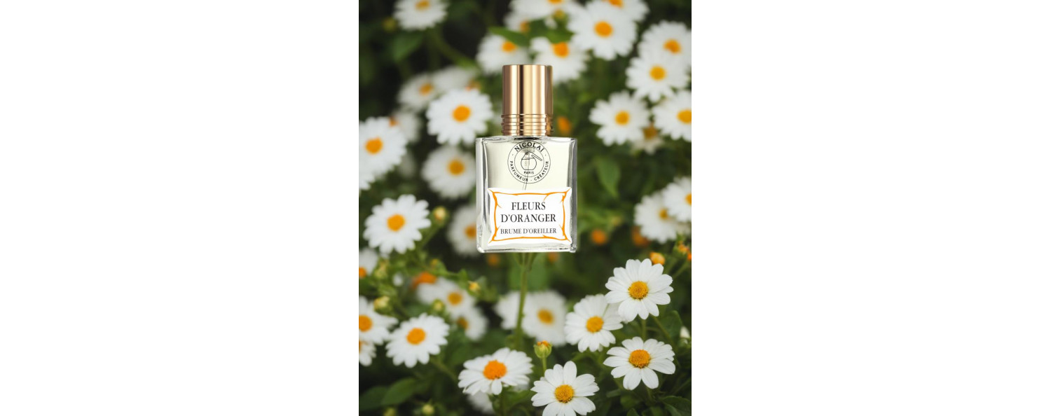 blumen-d-oranger-brum-d-push-nicolai