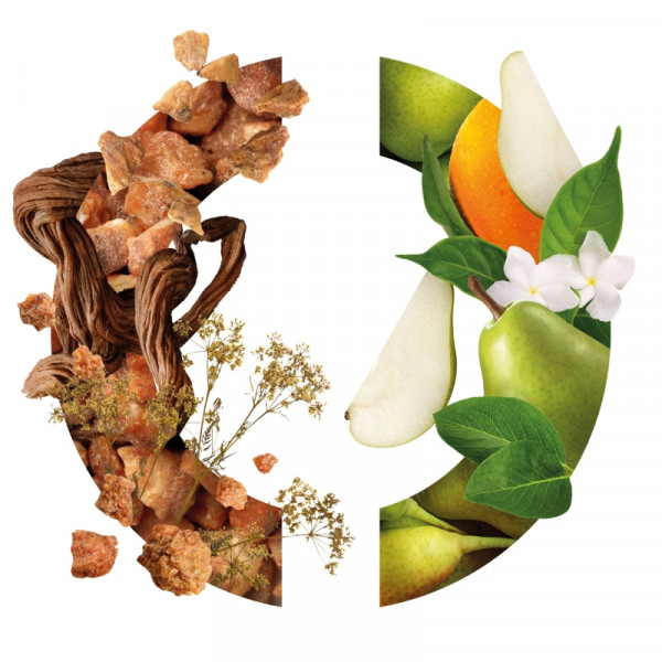 INFINI_caron_ingredients