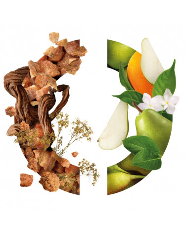 INFINI_caron_ingredients