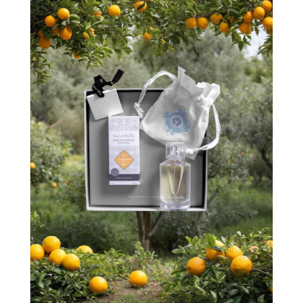 parfum-interieur-rose-et-marius-agrumes-et-fleurs-de-tilleul-coffret2produits
