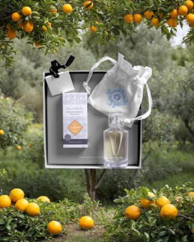 LES AGRUMES & FLEURS DE TILLEUL - Coffret Parfum Intérieur
