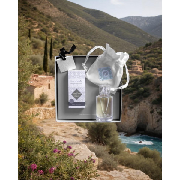 parfum-rose-et-marius-cezanne-spray-interieur-parisparfum