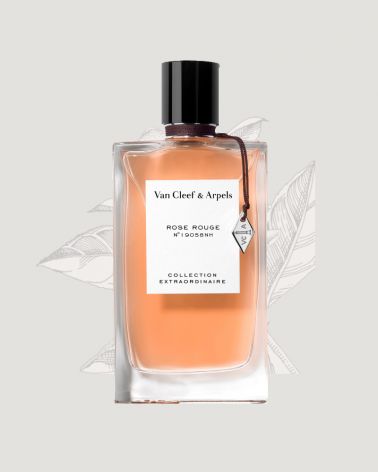 Perfume-Creator- Van-Cleef & Arpels-Rose Red-ParisParfumsfr