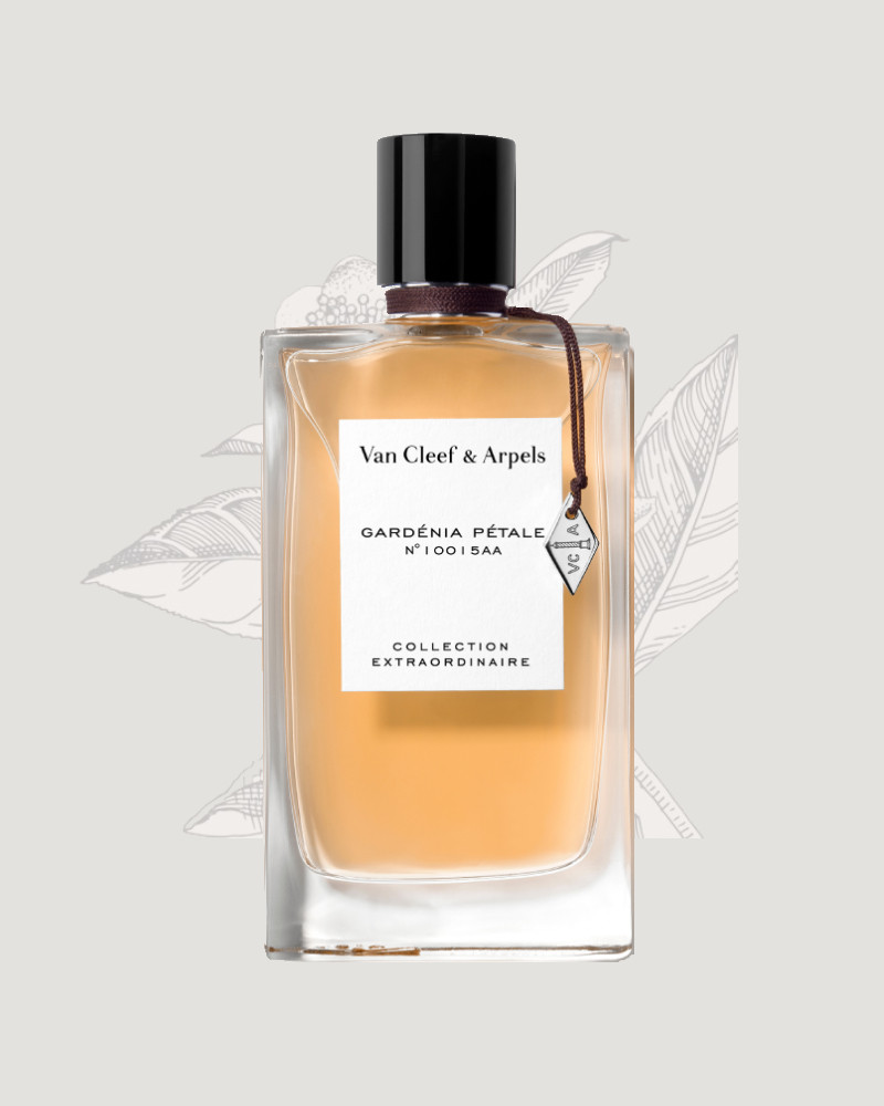 Perfume-Creator- Van-Cleef & Arpels- Gardénia-Petal-ParisParfumsFr