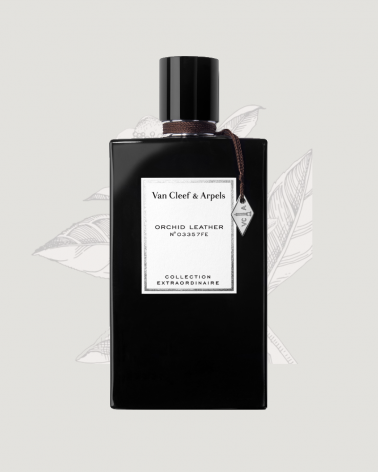 Parfum créateur- van cleef & arpels- Orchid Leather- parisparfumsfr