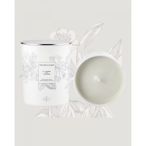 candle_to_the shadow_of_the fig trees