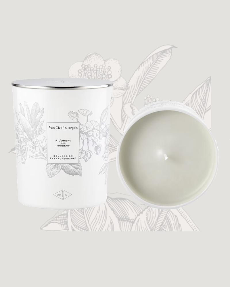 candle_to_the shadow_of_the fig trees