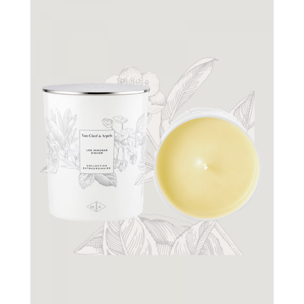 mimosa-de-l-hiver-bougie-van-cleef&arpels