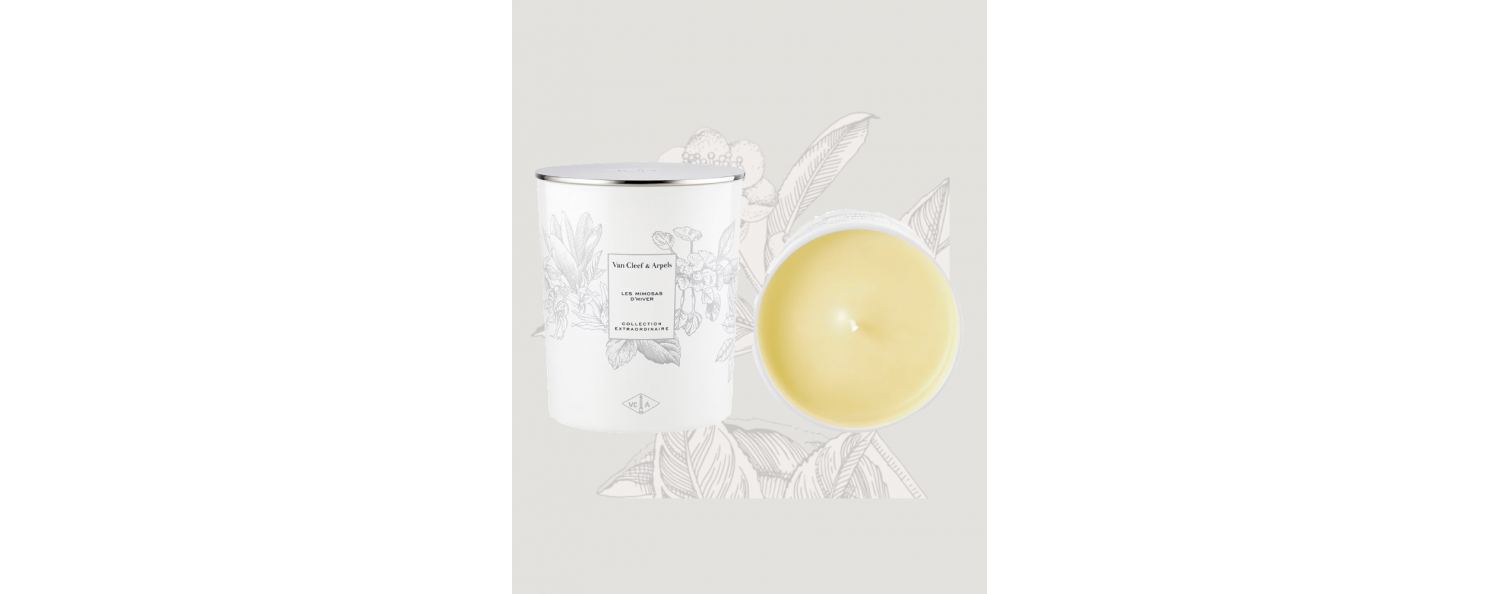 mimosa-of-the-winter-candle-Van-Cleef & Arpels
