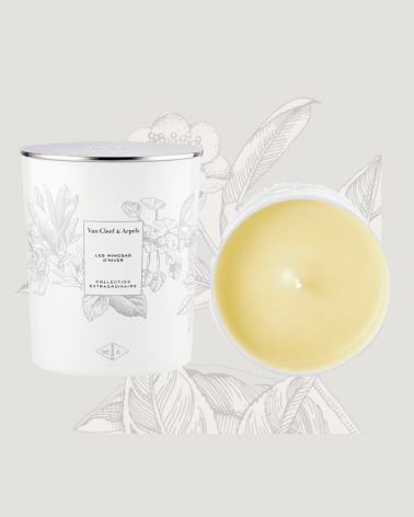 mimosa-of-the-winter-candle-Van-Cleef & Arpels