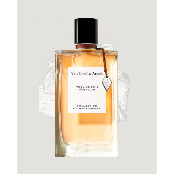 muscle-of-self-collection-extraordinary-van-clean