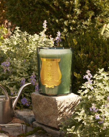 FIGUERIA - Large scented candle