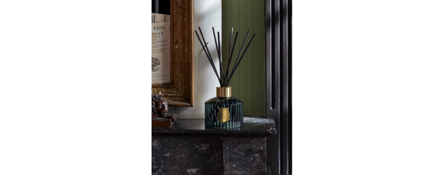 Trudon_Figuerie - Diffuseur 350ml - recharge