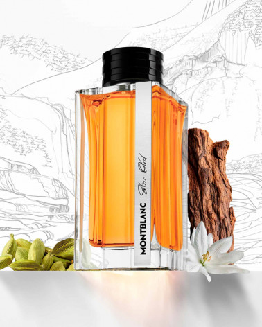 perfume-man-star-oud-Montblanc