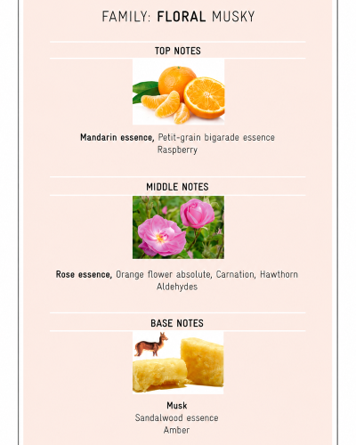 PARFUMS 30 ML | PDRE MUSC INT.EDP