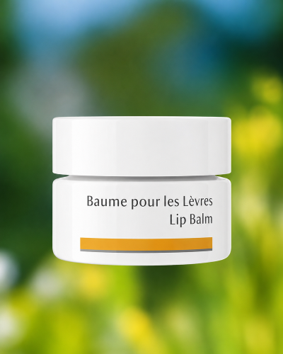 Lip Moisturizing Balm Dr. Hauschka - Regenerating Natural Tooked and Dry Lips