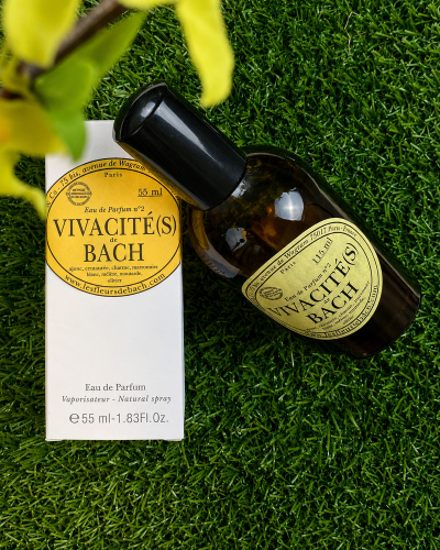 vivacité-de-bach-parfum-fleur-de-bach