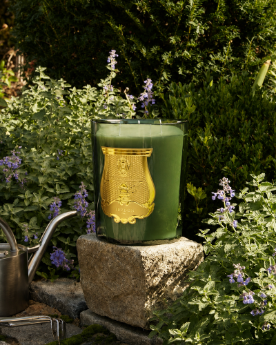 Trudon_figuerie-intermediate-and-great-candle