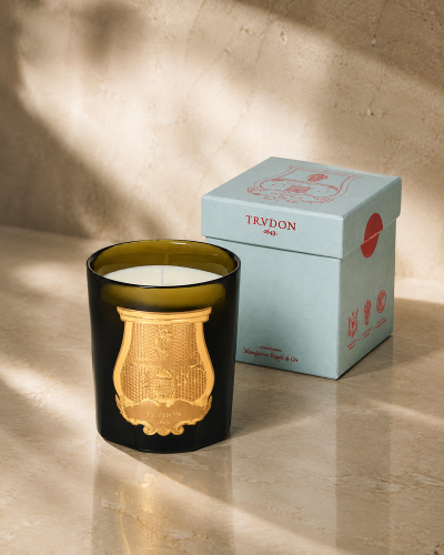 Gabriel Kerze | TRUDON - Gourmand Holzfeuer 270 gr