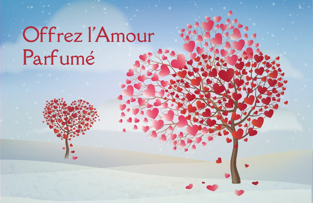 saint-valentin-des-cadeaux-a-offrir