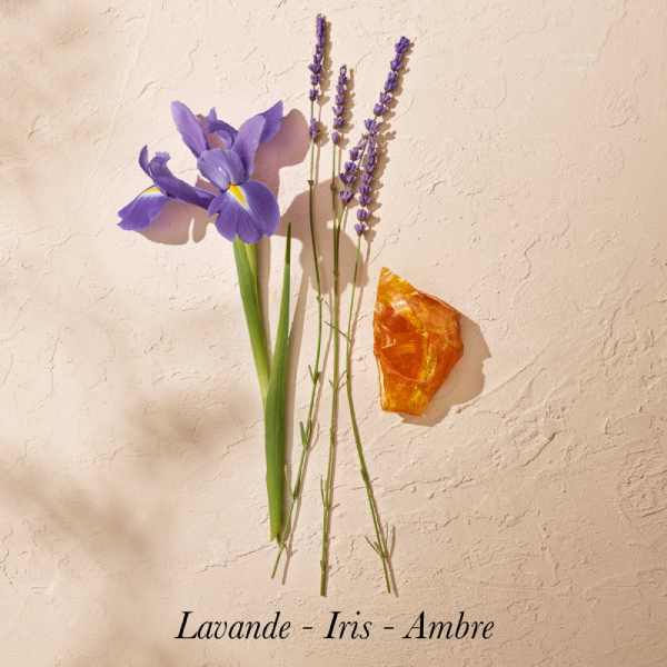 notes-olfactives-ambre-sauvage-goutal