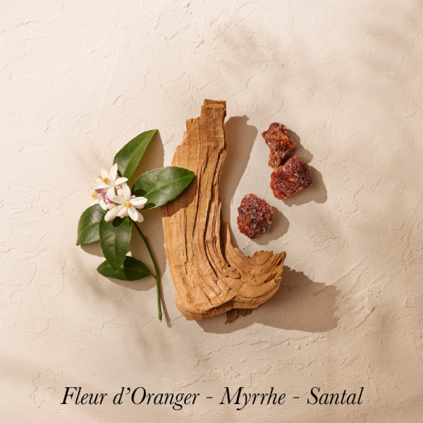 notes-olfactives-le-temps-des-rêves
