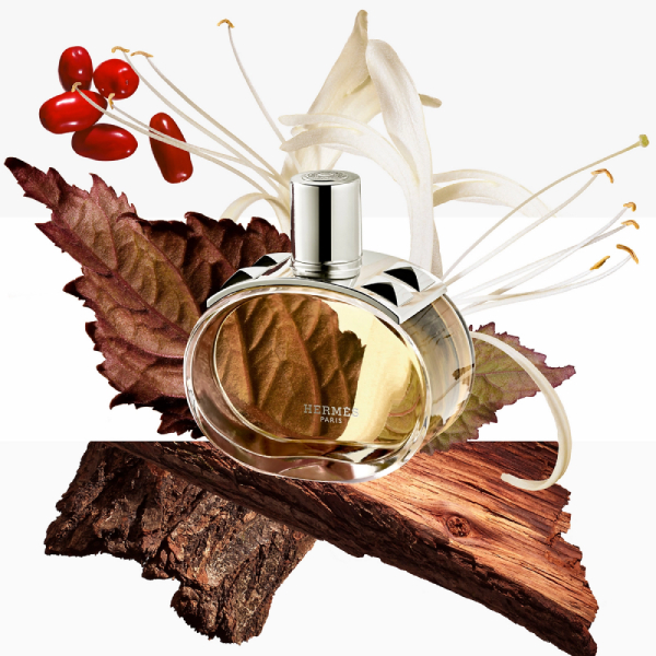 barenia-eau-de-parfum-ingredient-hermes.jpg