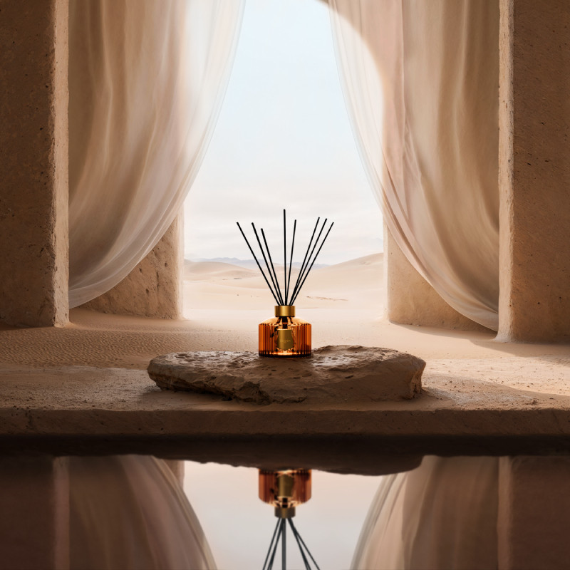 Ambiance diffuser