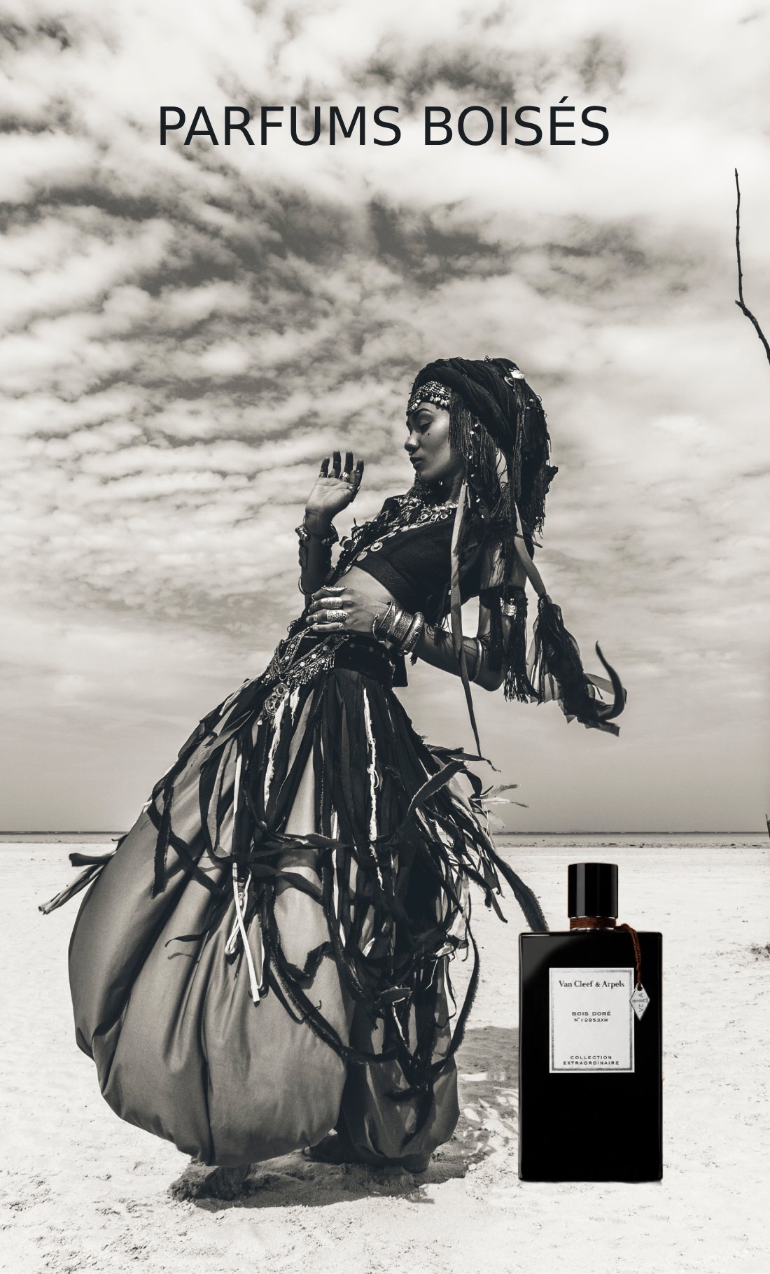 Les parfums boisés